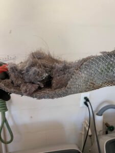 dryer vent cleaning Lake Helen, FL