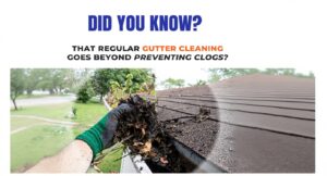 Gutter cleaning services