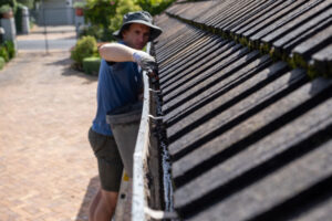 gutter cleaning services