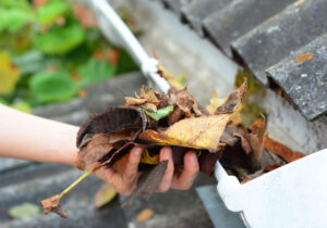 gutter cleaning services